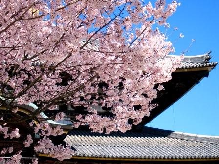 2011-4-大阪奈良 025.jpg